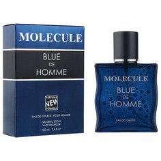 Туалетная вода Парфюмерия XXI века Molecule Blue De Homme, 100 мл