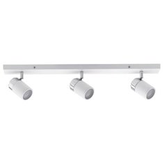 Спот Paulmann Zyli 66713