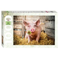 Пазл Step puzzle Animal Collection Символ удачи (79199), 1000 дет.