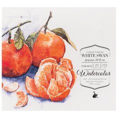 Альбом для акварели Малевичъ White Swan 19 х 17 см, 250 г/м², 20 л.