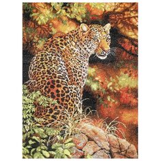 Dimensions Набор для вышивания крестиком Leopards Gaze (Взгляд леопарда) 30 х 41 см (35209)