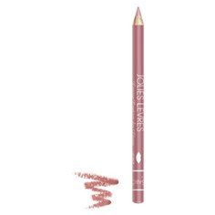 Vivienne Sabo Карандаш для губ Jolies Levres 204