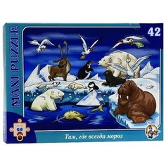 Пазл Десятое королевство Макси Там, где всегда мороз (00212), 42 дет.