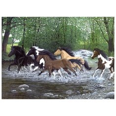 Royal & Langnickel Раскраска по номерам "Бегущие лошади" 32.4х40 см (PAL26)