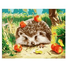 Color Kit Картина по номерам "Ежик" 40х50 см (CG808)