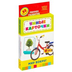 Набор карточек РОСМЭН Мир вокруг 25183 20x11 см 32 шт.