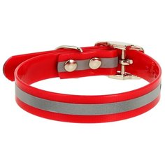 Ошейник КАСКАД Biotan (00220352) 25-35 см красный