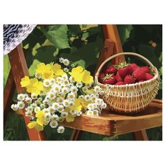 Color Kit Картина по номерам "Дачное настроение" 40х50 см (CG431)