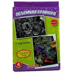 Гравюра Ракета Бабочки+Лев (Р0868) цветная основа