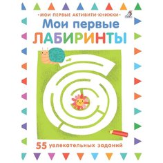 Мои первые активити-книжки. Мои первые лабиринты Робинс
