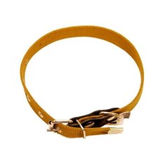 Ошейник Зоотехнология-М 14747, 50 см оранжевый