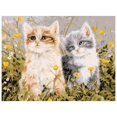 Color Kit Картина по номерам "Шалуны" 30х40 см (CE140)