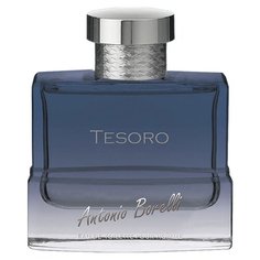 Туалетная вода Christine Lavoisier Parfums Antonio Borelli Tesoro, 100 мл