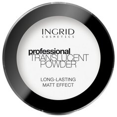 Ingrid Cosmetics Пудра компактная рисовая Professional Translucent Powder прозрачный