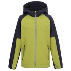 Куртка ICEPEAK размер 176, зеленый