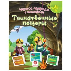 Губка Н.С. "Чудеса природы в наклейках. Таинственные пещеры: загадки, раскраски, веселый счет. 40 интерактивных заданий. Интересные факты о природе" Учитель