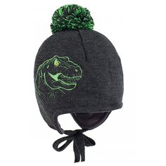 Шапка Fishka размер 54, графит