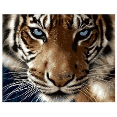 ВанГогВоМне Картина по номерам "Взгляд тигра", 40х50 см (ZX 20063)