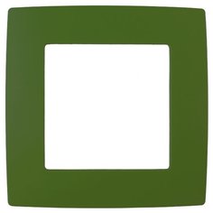 Рамка 1п ЭРА 12-5001-27, зеленый ERA