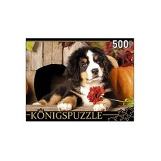 Пазл Рыжий кот Konigspuzzle Щенок Бернского Зенненхунда (ГИК500-8301), 500 дет.