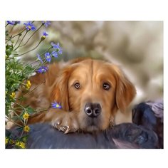 Molly Картина по номерам "Ретривер" 40х50 см (KH0289)
