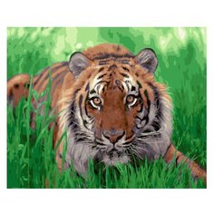 Molly Картина по номерам "На охоте" 40х50 см (KH0208)