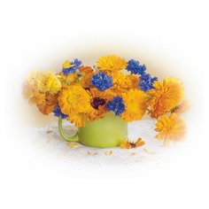 Molly Картина по номерам "Календула с васильками" 15х20 см (KH0242)