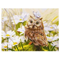 Белоснежка Картина по номерам "Сова-везучка" 30х40 см (3016-CS)