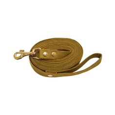 Поводок для собак Зоотехнология-М 14598 зеленый 5 м 25 мм