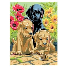 Royal & Langnickel Картина по номерам "Щенки лабрадора" 22х29 см (PJS30)