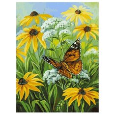 Белоснежка Картина по номерам "Цветочная поляна" 30х40 см (153-AS)