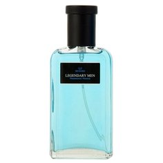 Туалетная вода Legendary Men Richard, 85 мл