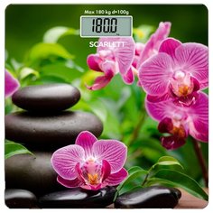 Весы Scarlett SC-BS33E038