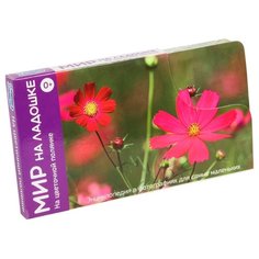 Набор карточек Умница Мир на ладошке. На цветочной полянке 18x10 см 24 шт.