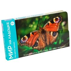 Набор карточек Умница Мир на ладошке. На шести лапках 18x10 см 24 шт.