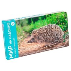 Набор карточек Умница Мир на ладошке. На лесных тропинках 18x10 см 24 шт.