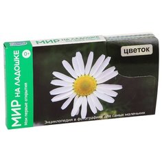 Набор карточек Умница Мир на ладошке.Мои первые открытия 18x10 см 24 шт.