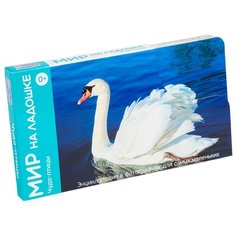 Набор карточек Умница Мир на ладошке. Чудо-птицы 18x10.3 см 24 шт.