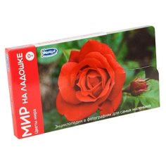 Набор карточек Умница Мир на ладошке. Цветы мира 18.2x10.2 см 24 шт.