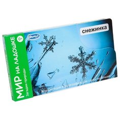 Набор карточек Умница Мир на ладошке. Загадки природы 18x10 см 24 шт.