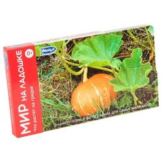 Набор карточек Умница Мир на ладошке. Что растет на грядке 18x10.3 см 24 шт.