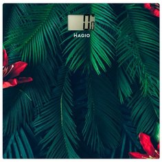 Весы Magio МG-811