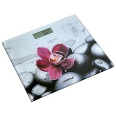 Весы AURORA AU 4306