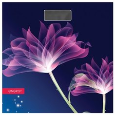 Весы Energy EN-419G