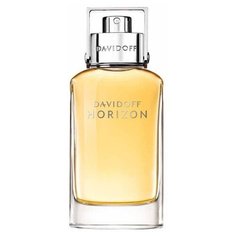 Туалетная вода Davidoff Horizon, 40 мл