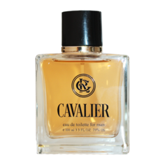 Туалетная вода Bi-Es Cavalier, 100 мл