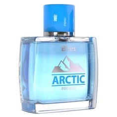 Туалетная вода Bi-Es Arctic For Men, 100 мл