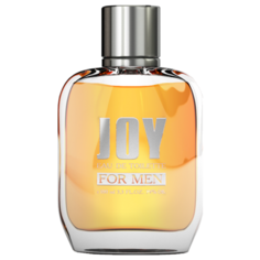 Туалетная вода Bi-Es Joy For Men, 100 мл