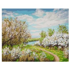 Color Kit Картина по номерам "Цветущий луг" 40х50 см (CG935)