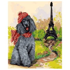 Color Kit Картина по номерам "Пудель - парижанин" 40х50 см (CG775)